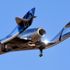 ABD'li Virgin Galactic'e HAVELSAN damgası!