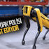 New York polisi robot köpek Spot’u test ediyor