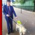 Rehber köpeğe Meclis giriş kartı Rehber köpeğe Meclis giriş kartı