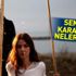 Sen Anlat Karadeniz ne zaman başlıyor? Dünden bugüne Sen Anlat Karadeniz...