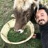 Hasta ineğin başında nöbet tutuyor Hasta ineğin başında nöbet tutuyor