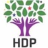 HDP Eş Genel Başkanları büyükelçilerle görüştü