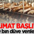 Teslimat başlıyor! 250 bin düve verilecek Teslimat başlıyor! 250 bin düve verilecek
