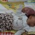 Sağlık Bakanı Koca’dan ‘Elif’ bebek açıklaması Sağlık Bakanı Koca’dan ‘Elif’ bebek açıklaması