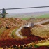 IŞİD militanları bombadan kaçtı sınıra geldi