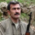 Tunceli'de PKK'nın üst düzey yöneticisi öldürüldü