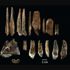Avrupa'daki bilinen ilk insanların kalıntılarına ulaşıldı