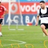 Tosic formaya yakın