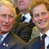 Çanakkale anmasına İngiliz Prensi Charles ve oğlu William geliyor Çanakkale anmasına İngiliz Prensi Charles ve oğlu William geliyor