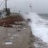 Caddebostan Sahili'ni kırmızı yosunlar sardı Caddebostan Sahili'ni kırmızı yosunlar sardı
