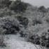 Meteorolojiden fırtına ve don uyarısı
