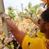 Aubameyang eşyalarını topladı Aubameyang eşyalarını topladı