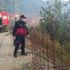 Türkeli'de anız yangını: 1 yaralı Türkeli'de anız yangını: 1 yaralı