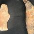 Yeşilova Höyüğü'nde 8 bin yıllık ayı figürü bulundu