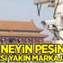Çin neyin peşinde! Herkesi yakın markaja aldı