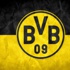 Dortmund taraftarından ırkçılığa karşı kampanya