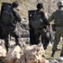 Dağdan İnen PKK'lılar Darma Duman Oldu Dağdan İnen PKK'lılar Darma Duman Oldu