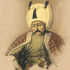 Yavuz 'Pax Ottomana'yı nasıl kurdu?