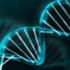 Ders programını DNA belirleyecek! Ders programını DNA belirleyecek!