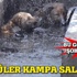 Köylüler, köpekleri için petrol kampına saldırdı