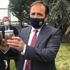 İstanbul'daki palmiye ağaçları tehlike 'kırmızı böcek' tehlikesi altında