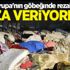 Avrupa'nın göbeğinde rezalet! Ceza veriyorlar