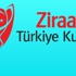 İşte kupada maç programı