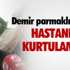 Almanya'daki terör örgütü NSU davası
