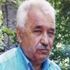 Oğlunun kestiği ağacın dalı başına düşen adam öldü Oğlunun kestiği ağacın dalı başına düşen adam öldü