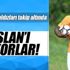 Biri Aslan’ı gözetliyor
