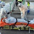 Ebola virüsünden 8 bin kişi öldü