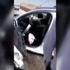 Trafik kazası: 1 ölü, 4 yaralı Trafik kazası: 1 ölü, 4 yaralı