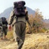 Hakkari'de 5 PKK'lı öldürüldü! Hakkari'de 5 PKK'lı öldürüldü!