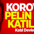 Koroya Pelin de Katıldı!
