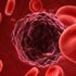 Kansere karşı Kaspaz proteiniyle tedavi