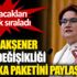 ﻿Meral Akşener, iklim değişikliği politika paketini paylaştı