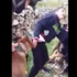İsrail Ordusu'ndan köpekli işkenceye soruşturma