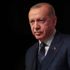 AİHM'den "Cumhurbaşkanına hakaret davası" kararı: Özel bir koruma ayrıcalığı geliştirilemez