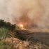Buras'da Orman Yangını (2)