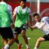 Beşiktaş’ın Gaziantepspor mesaisi sürdü Beşiktaş’ın Gaziantepspor mesaisi sürdü