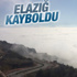 Reza Zarrab Devlet Bahçeli davasından vazgeçti