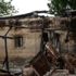Nijerya'daki Boko Haram saldırısı