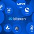 Dijital varlık platformu Bitexen 10 yeni coin daha ekledi