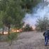 Adana'da çıkan orman yangınında 2 dönüm alan yandı