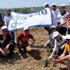 Yırca'da sökülen zeytinlerin yerine yenileri dikiliyor Yırca'da sökülen zeytinlerin yerine yenileri dikiliyor