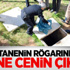 Hastanenin Rögarından Yine Cenin Çıktı Hastanenin Rögarından Yine Cenin Çıktı