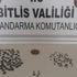 Bitlis'te 168 parça tarihi eser ele geçirildi: 1 gözaltı