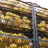 100 ton limon Mersin den yola çıktı.