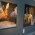 'Istanbul Photo Awards 2017' sergisi İzmir'de açıldı