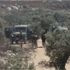 İsrail güçleri 93 Filistinliyi yaraladı İsrail güçleri 93 Filistinliyi yaraladı